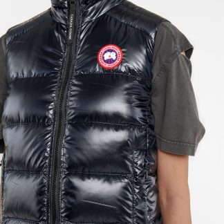 Canada Goose